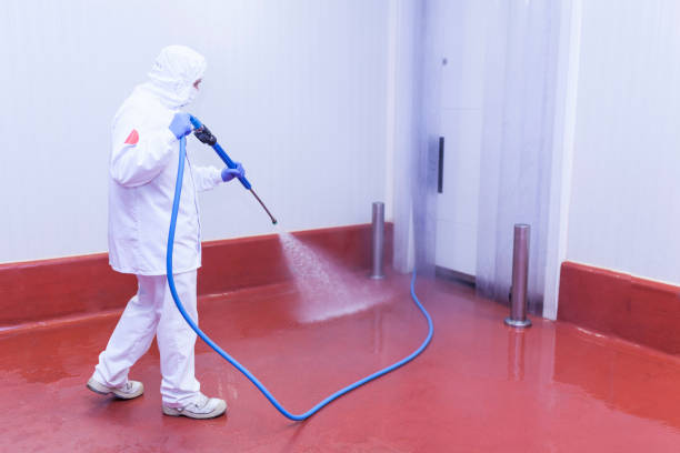 Best Graffiti Removal  in Emigsville, PA